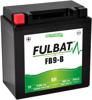 Fulbat Fb9-B Gel (12N9-4B-1) Battery 