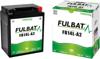 Fulbat Ftx14Ahl-Bs / Fb14L-A2/B2 Gel Battery 