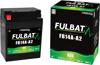 Fulbat Fb14A-A2 Gel Battery 