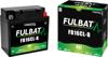 Fulbat Fb16Cl-B Gel Battery 